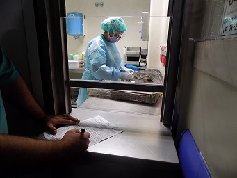 esterilizacao3